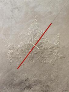 Impronta fossile 3